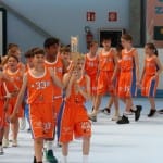 Slovenska olimpijska bakla
