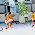 Slovenska olimpijska bakla