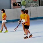 Slovenska olimpijska bakla