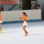 Slovenska olimpijska bakla