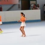 Slovenska olimpijska bakla