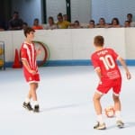 Slovenska olimpijska bakla