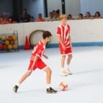 Slovenska olimpijska bakla