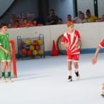 Slovenska olimpijska bakla