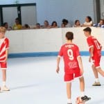 Slovenska olimpijska bakla
