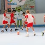 Slovenska olimpijska bakla