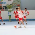 Slovenska olimpijska bakla