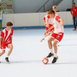 Slovenska olimpijska bakla