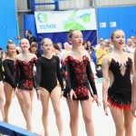 Gimnastika :Zakljućna akademija s ž Bor