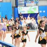 Gimnastika :Zakljućna akademija s ž Bor