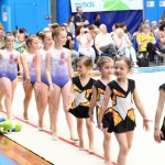 Gimnastika :Zakljućna akademija s ž Bor