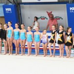 Gimnastika :Zakljućna akademija s ž Bor