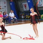 Gimnastika :Zakljućna akademija s ž Bor