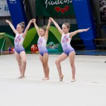 Gimnastika :Zakljućna akademija s ž Bor