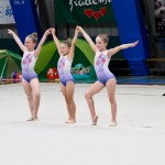 Gimnastika :Zakljućna akademija s ž Bor