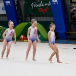 Gimnastika :Zakljućna akademija s ž Bor