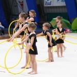 Gimnastika :Zakljućna akademija s ž Bor