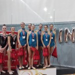 Vindija Cup