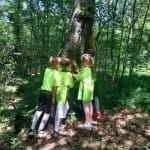 IMG-20240703-WA0077-(1024)