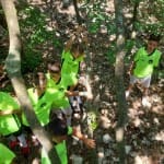 IMG-20240703-WA0082-(1024)