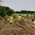 IMG-20240703-WA0102-(1024)