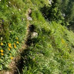 Planinci AŠD Mladina na vrhu Chiadenisa