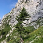 Planinci AŠD Mladina na vrhu Chiadenisa
