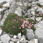 Planinci AŠD Mladina na vrhu Chiadenisa