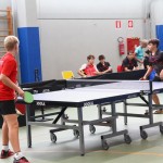 Namizni tenis : Pokal Kras