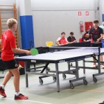 Namizni tenis : Pokal Kras