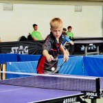 Namizni tenis : Pokal Kras