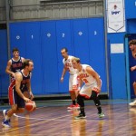 Košarka : Memorial Tavćar