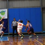 Košarka : Memorial Tavćar