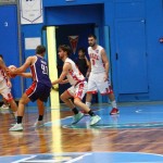 Košarka : Memorial Tavćar