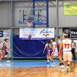 Košarka : Memorial Tavćar