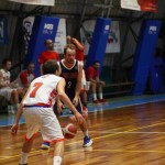 Košarka : Memorial Tavćar