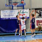 Košarka : Memorial Tavćar