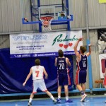 Košarka : Memorial Tavćar