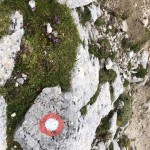 Planinski odsek AŠD Mladina: cilj osvojitev Špika