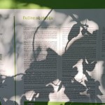 Priprave_Ajdovscina_Sloga20240902_0009