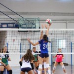 Odbojka U 18 : Turnir prijateljstva