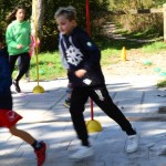 Barcolana : Stojnica Brdina