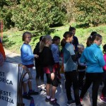 Barcolana : Stojnica Brdina