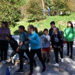 Barcolana : Stojnica Brdina