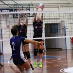 Odbojka D liga :Kontovel Zalet - Morano Volley