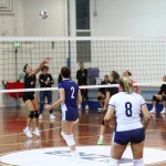 Odbojka D liga :Kontovel Zalet - Morano Volley