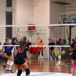 Odbojka D liga :Kontovel Zalet - Morano Volley
