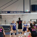 Odbojka D liga :Kontovel Zalet - Morano Volley