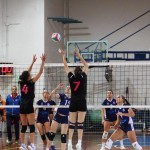 Odbojka D liga :Kontovel Zalet - Morano Volley