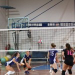 Odbojka D liga :Kontovel Zalet - Morano Volley